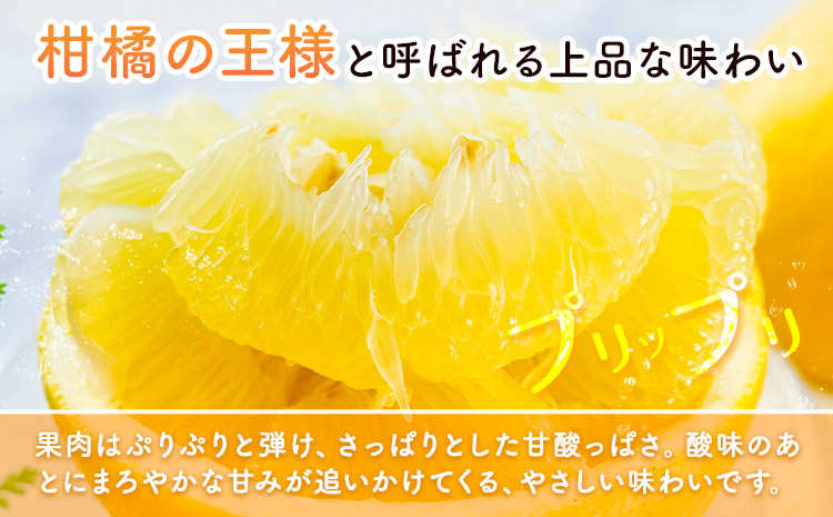 晩白柚 2玉 2Lサイズ ばんぺいゆ 熊本《1月上旬-1月末頃出荷》熊本県 氷川町 果物 フルーツ 熊本県産 晩白柚 ばんぺいゆ---hkw_kbtbpy_ac1_26_12000_2l2i---