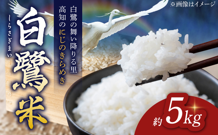農薬節減！ R7年度産 特別栽培米 白鷺米 にじのきらめき 約5kg ＜2025年9月中旬〜発送＞ / 高知 米 お米 精米 　【津ノ宮農園】[ATBV017]