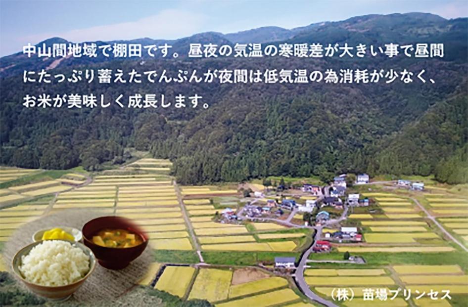 【令和8年産先行予約】魚沼産こがねもち 精米10kg（5kg×2）特別栽培米 農薬化学肥料5割減127523-106