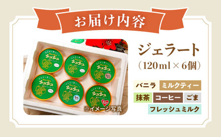 ジェラート 6個セット アイス  [ACAA405] ジェラートアイス
