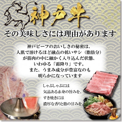 神戸牛 しゃぶしゃぶ・すき焼き用セット 計1Kg YBSS5 【2026年4月より順次発送】【配送不可地域：離島】【1681998】