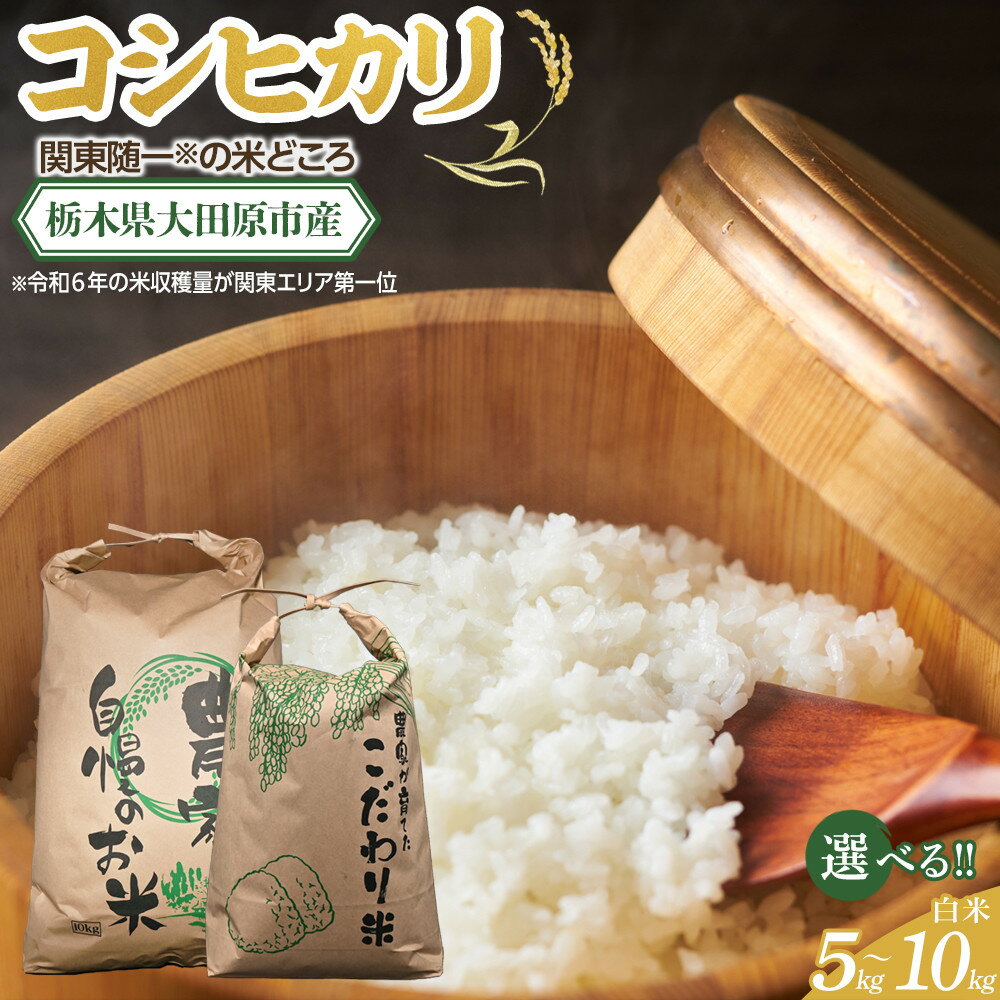 【ふるさと納税】【令和7年産 新米 先行予約受付】【容量選択可】栃木県 大田原市産 コシヒカリ 白米 5kg or 10kg | コメ お米 銘柄米 農家直送 産地直送 産直 数量限定 米 こめ 人気 おすすめ 送料無料