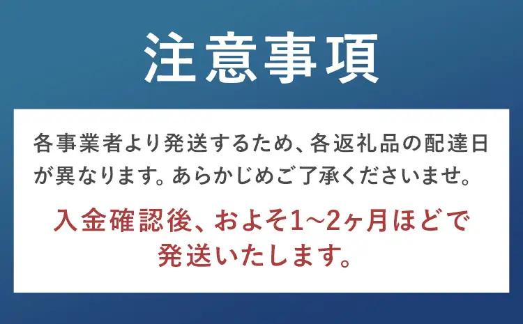 限定企画 ファンケル×ITO 特別コラボ マイルドクレンジングオイル ITOスキンコットンタオル100 タイプA ブルーボトル1本×タオル1個