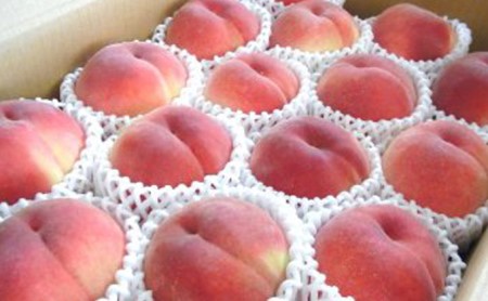 国見町産 桃 特秀 3kg箱（7～12玉） | 果物 フルーツ 品種 おまかせ ※2026年8月～発送