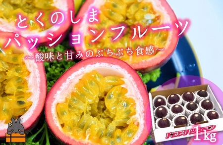 《今が旬！》太陽が育てた徳之島産パッションフルーツ（1kg） ( 果物 パッション フルーツ 酸味 甘み プチプチ 徳之島 奄美 鹿児島 美味しい 旬 南の島 世界自然遺産 果樹 島 ) 