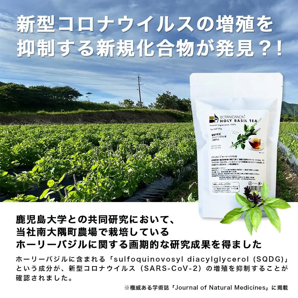 ホーリーバジル茶（30g×1個）　BF-8｜国産 ノンカフェインホーリーバジル 茶 ハーブティー リラックス ボタニカノン BOTANICANON ケミカルフリー 鹿児島県 南大隅町 ボタニカルファク