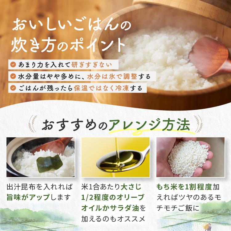 【定期便6回】栃木県産 ミルキークイーン 玄米 2kg 2026年 先行予約 | 栃木県 矢板市