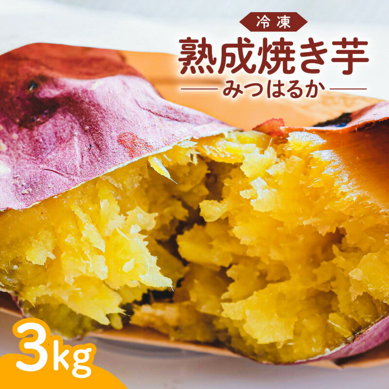 【ふるさと納税】冷凍 熟成焼き芋みつはるか ふるさと納税 鹿児島市 九州 送料無料 贈り物 プレゼント ギフト お取り寄せ お土産 特産品 地域の品 お礼の品 甘い あまい うま味 うまみ 美味しい おいしい 熟成 焼き芋 焼きいも 芋 いも みつはるか 専門店 濃密 お歳暮 Z