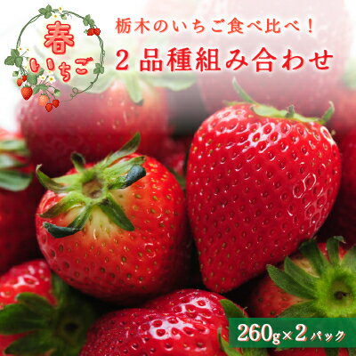 【ふるさと納税】【春いちご】栃木のいちご食べ比べ!「2品種組み合わせ!」セット(260g×2パック)【配送不可地域：離島・沖縄県】【1663315】