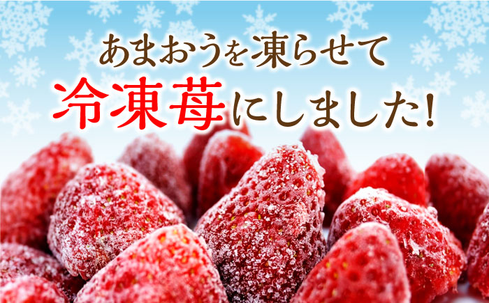 福岡県産【博多冷凍あまおう】約500g×2袋 合計約1kg《築上町》【株式会社H&Futures】 [ABDG005] 11000円 1万1千円