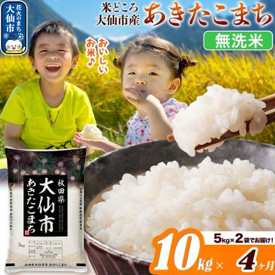 ふるさと納税 大仙市 米《4ヶ月》あきたこまち【無洗米】10kg|22_ssn-031004