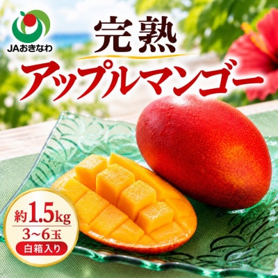 【2027年6月下旬から順次発送・家庭用】JAおきなわ厳選 完熟アップルマンゴー1.5kg【配送不可地域：離島】