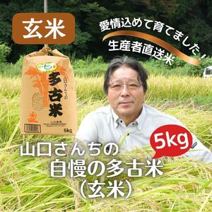 山口さんちの【令和7年産】多古米コシヒカリ(玄米)5kg_ 玄米 米 こめ コメ   コシヒカリ 米 こしひかり TAKF045