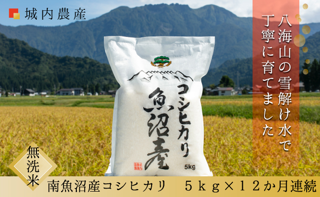 【令和７年産新米予約】【お米定期便/全１２回】南魚沼産コシヒカリ　無洗米５ｋｇ＜５割減農薬栽培米＞城内農産【2025年10月上旬より順次発送予定】
