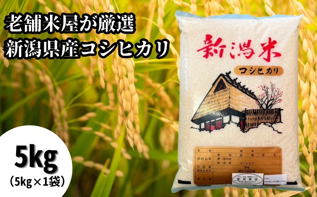 
                  令和7年産 老舗米屋が厳選 コシヒカリ 精米 5kg(5kg×1袋) 五泉市産 | 新潟産コシヒカリ 新潟県産コシヒカリ 新潟県産こしひかり 米 お米 こしひかり ブランド米 新潟県 五泉市 板垣商店
                
