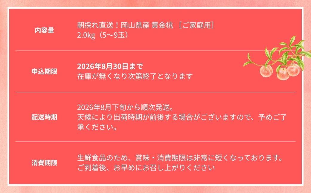 【2026年先行予約】［なんばふぁーむ］岡山県産 黄金桃 2.0kg（5～9玉）［ご家庭用］桃 もも モモ おうごんとう フルーツ 果物 朝採り旬 岡山県産 産地直送 産直 送料無料 鏡野町