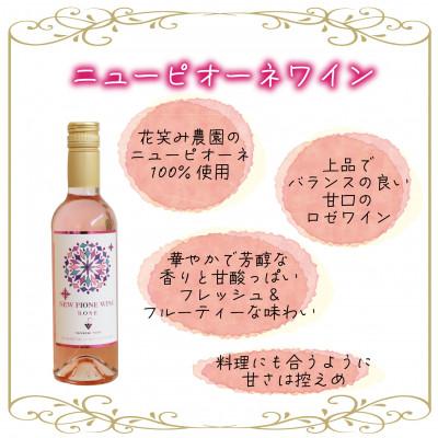 ふるさと納税 真庭市 岡山　花笑み農園ワインセット『ピオーネワイン&BKシードレスワイン』WpWb |  | 01