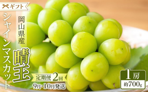 
            ぶどう 2025年 先行予約 9月・10月発送 シャイン マスカット 晴王 1房 約700g ブドウ 葡萄  岡山県産 国産 フルーツ 果物 ギフト
          
