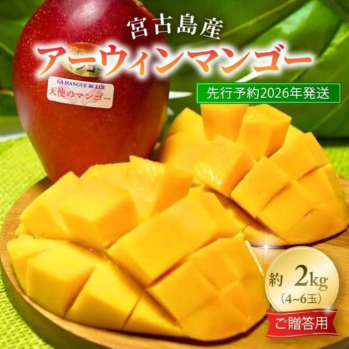 《先行予約2027年発送》『天使のマンゴー』宮古島産アーウィンマンゴー 2kg（4～6玉）【ご贈答用】「LA MANGUE BLEUE」農家直送（GZ006）