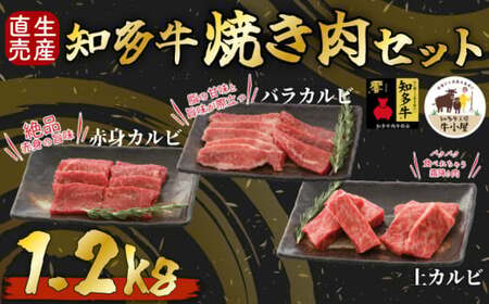 知多牛 響 焼肉セット 1.2kg 上 カルビ バラ カルビ 生産直売 国産 牛肉 焼肉 肉 牛 ワイン 牛丼