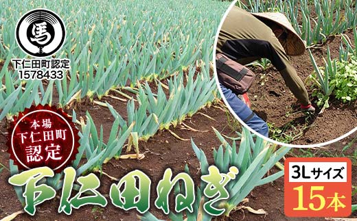 
            本場下仁田町認定葱の会会員が作った下仁田ねぎ（3Lサイズ 15本） とろける 甘い ねぎ ネギ 王様ねぎ 殿様ねぎ 特産 栄養たっぷり ブランド 上州ねぎ すきやき F21K-610
          