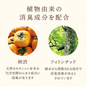 木と果 消臭クリップ ミント ＆ ユーカリ 晴香堂 車用 芳香剤 フレグランス