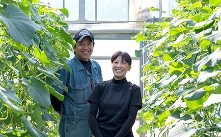 [9～10月発送] 大崎上島産 シャキッと食感！生かじりが美味しいハウス栽培きゅうり約3kg