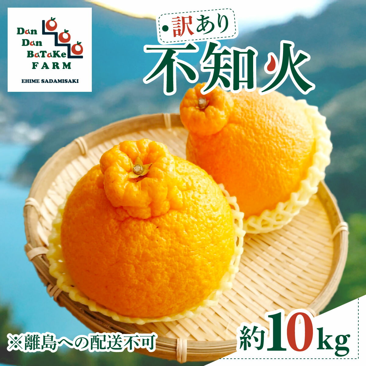 【ふるさと納税】【先行予約】【訳あり】不知火 約10kg ※離島への配送不可 ※2026年2月中旬より順次発送予定【ふるさと納税 人気 おすすめ ランキング 柑橘 みかん ミカン フルーツ 果物 オレンジ 不知火 訳あり DanDan BaTaKe FARM 愛媛県産 伊方町 送料無料】 IKTAU009