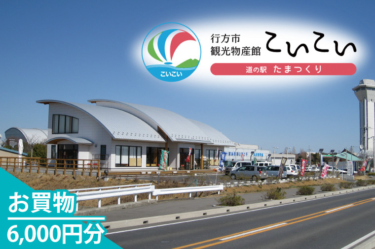 
                  CT-21　行方市観光物産館「こいこい」お買物6,000円分
                