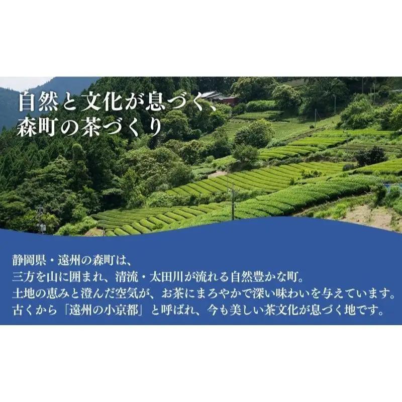 お茶 いしだ茶屋 訳あり 静岡茶 5袋 セット お茶