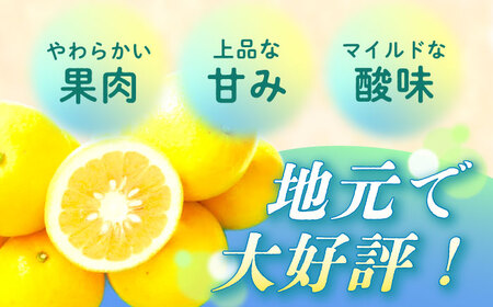 【ご家庭用】 水晶文旦 約4kg（8-14玉） 長与町/果豊園[ECL007]