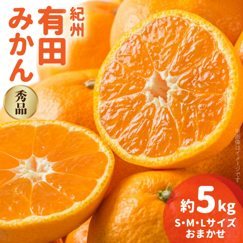 【ふるさと納税】【2025年先行予約】紀州 有田みかん 秀品 約5kg (L・M・Sサイズおまかせ)
