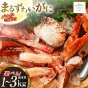 高評価★4.6以上！大人気！リピーター続出 まるずわいがに 肩脚肉 総重量1kg (3-5肩相当) かに カニ かに物語 / カネダイ / 宮城県 気仙沼市