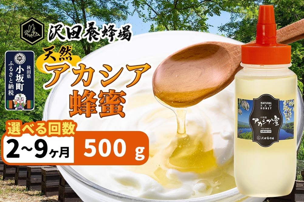 
                  はちみつ 天然十和田 アカシア蜂蜜 500g【選べるお届け回数：2回～9回】 [はちみつ 蜂蜜 ハチミツ アカシア 定期便 国産 朝食 沢田養蜂場]
                