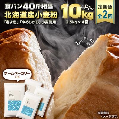 ふるさと納税 室蘭市 【毎月定期便】「春よ恋」「ゆめちから」ブレンド小麦粉 パウダースノー(パン用強力粉)10kg全2回