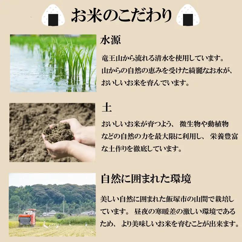 【 令和8年産先行予約！2026年11月発送】米 元気つくし 5kg 3回定期便 |米 FRF