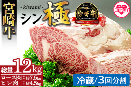 ＜宮崎牛『シン極(きわみ)』ロース肉約7.5kg、ヒレ肉約4.5kg (冷蔵・3回分割)＞ 国産ブランド牛 黒毛和牛【MI019-nk-c-03】【中村食肉】
