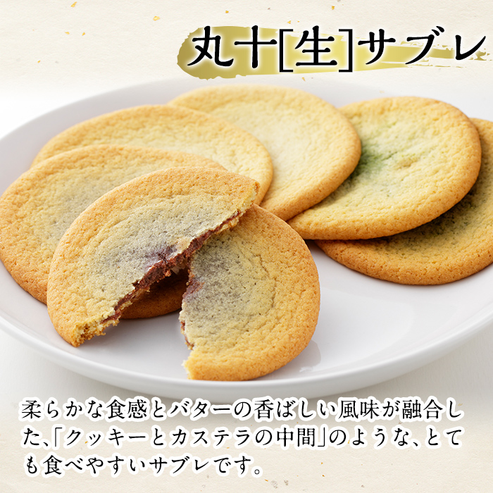 C-086-D 【6回定期便】丸十生サブレ詰め合わせ(12枚入×2箱×6回 計144枚)【徳重製菓とらや】霧島市 生サブレ サブレ しっとり なめらか マイルド お菓子 焼菓子 おやつ お土産 贈り物