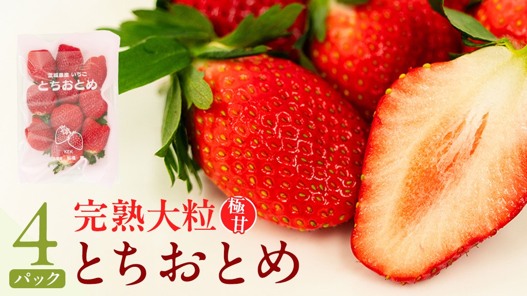 
            【 2026年1月上旬発送開始 】完熟 とちおとめ 260g×4パック 国産 いちご イチゴ 苺 とちおとめ 果物 フルーツ [BC006sa]
          