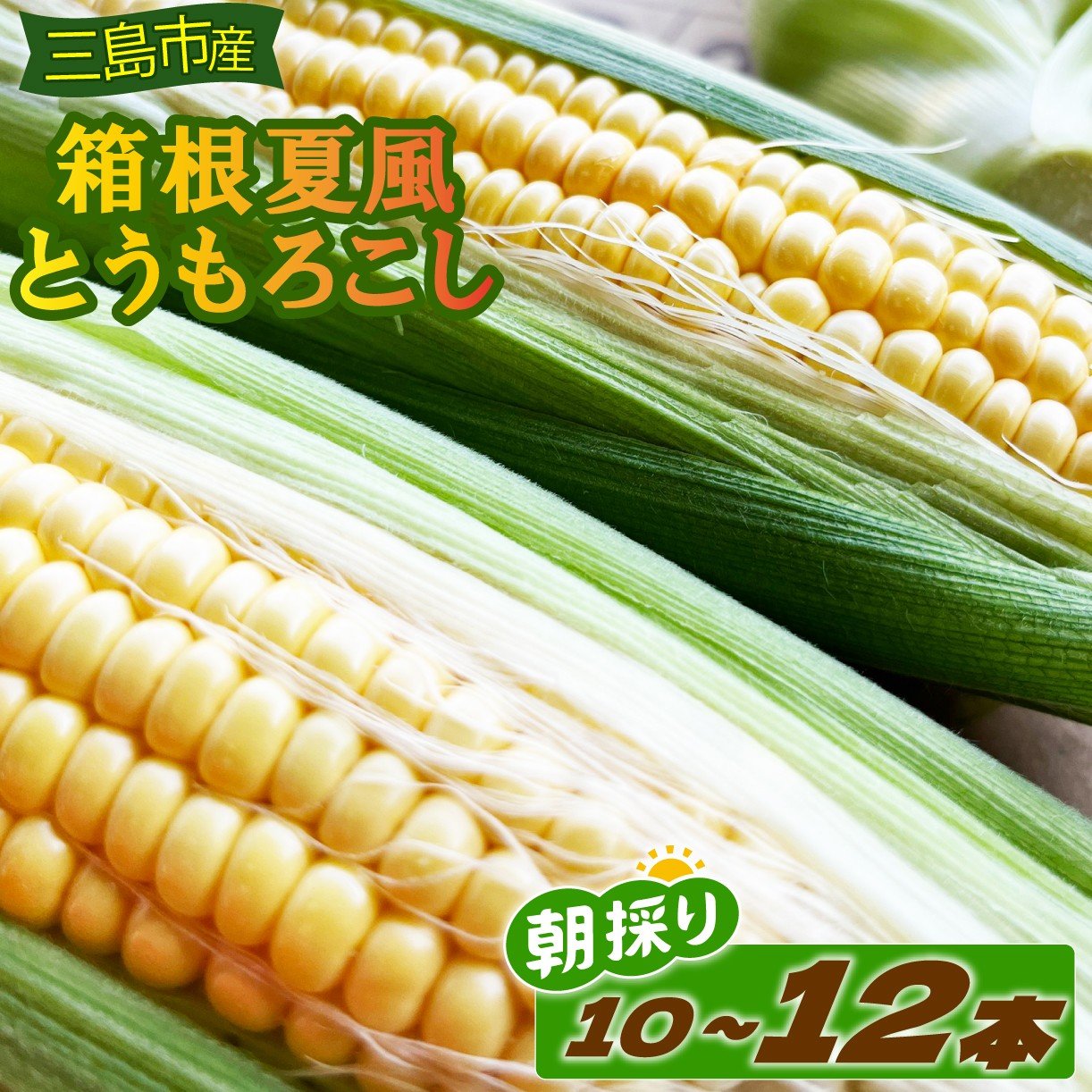 
            箱根夏風とうもろこし 10本～12本 野菜 夏野菜 トウモロコシ とうもろこし コーン 朝採れ 
          