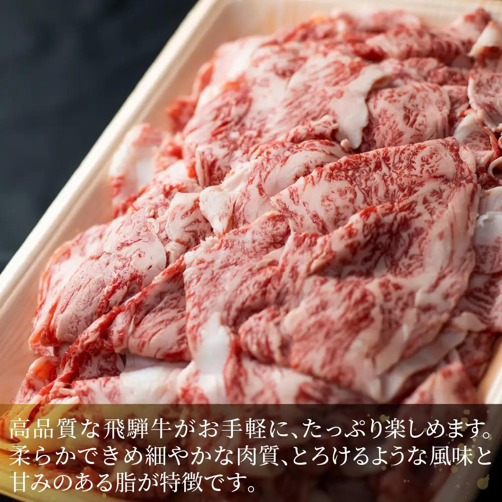 【ふるなびWEEK対象】牛肉 飛騨牛 訳あり 切り落とし500g 牛肉 LR011