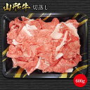 【ふるさと納税】《ふるさとの極み》山形牛切落し600g F2Y-1188