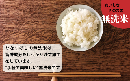 【令和7年産】≪定期便6ヶ月≫ＪＡ当麻　特Ａななつぼし無洗米 5kg×6回 計30kg 北海道米 北海道 当麻町 米【A-018】