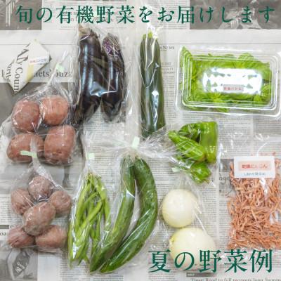 ふるさと納税 掛川市 【毎月定期便】しあわせ野菜畑の有機野菜　Lセット　(安心の有機JAS認証　オーガニック野菜)全3回 |  | 03
