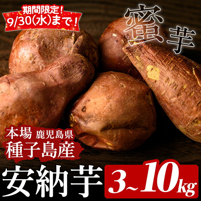 【ふるさと納税】＜先行予約受付中！2026年10月中旬頃より順次発送予定＞期間限定！内容量が選べる！種子島産 安納芋(3～10kg) 国産 安納芋 さつまいも さつま芋 蜜芋 本場 種子島 芋 イモ いも 安納いも 野菜 常温 【種子島安納株式会社】