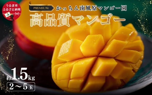高品質マンゴー 秀品　約1.5kg（2～5玉）【かっちん南風原マンゴー園】【2025年発送】
