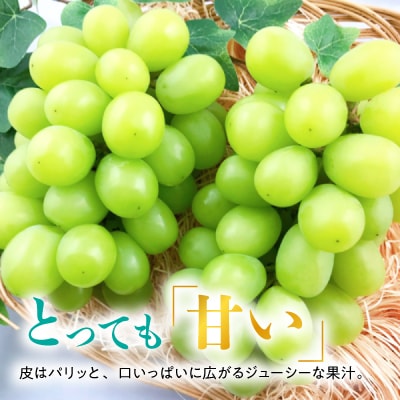 糖度!シャインマスカット!約2kg【2025年9月初旬より順次発送】ギフトにも岡山県産ぶどう!【配送不可地域：離島】