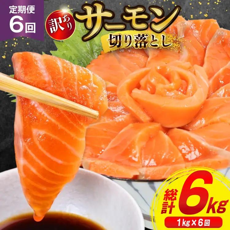 6回 定期便 訳あり サーモン 切り落とし おさしみ用 125gx8p×6回 合計6kg  魚介 鮭 さけ サケ お刺し身 刺し身 刺身 生食 個包装 小分け カット済み 銀鮭 チリ銀鮭