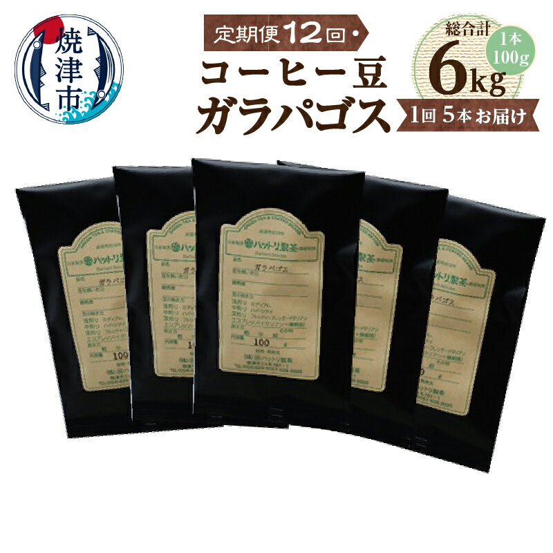 【ふるさと納税】 定期便 12回 コーヒー コーヒー豆 100g×5本 数量限定 ガラパゴスコーヒー 珈琲 焼津 b650-004