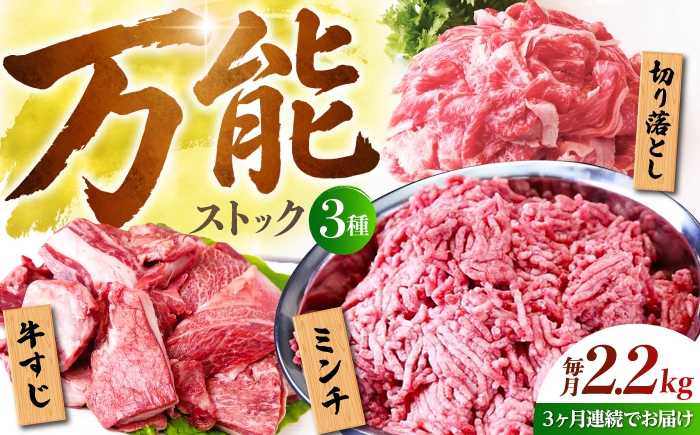
                  【全3回定期便】佐賀牛 万能ストック3種セットB ( 切り落とし 1kg・ミンチ 600g・牛すじ 600g ) 【山下牛舎】 [HAD125]
                